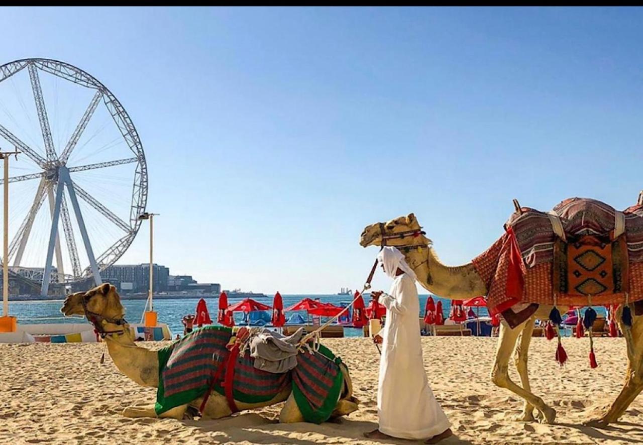 Murjan Waterfront The Walk Jumeirah Apartment